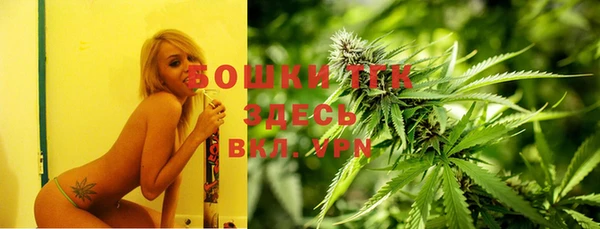ПСИЛОЦИБИНОВЫЕ ГРИБЫ Верхнеуральск