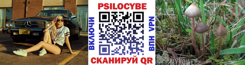 mega рабочий сайт  Ивантеевка  Псилоцибиновые грибы Magic Shrooms 