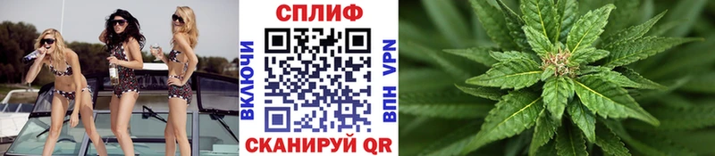 купить  цена  Ивантеевка  Бошки марихуана конопля 